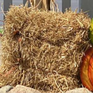 Bale of Straw