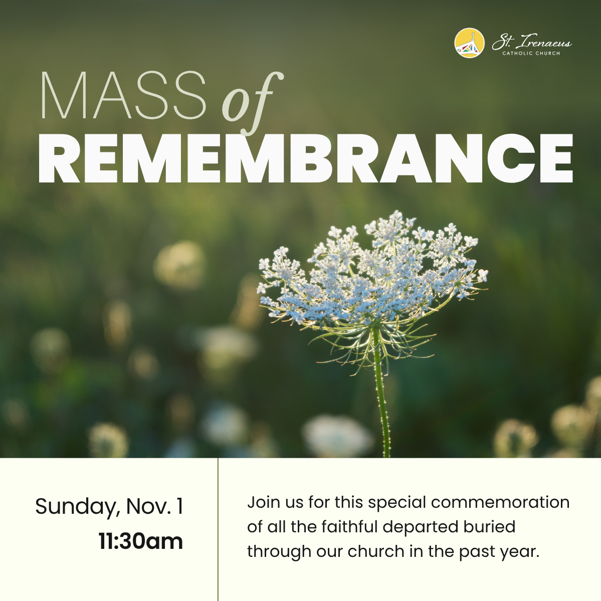 Join us for a Mass of Remembrance at 11:30am Mass on Nov. 1, 2026